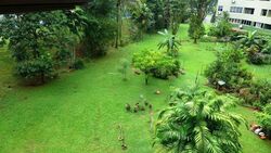 Pine Grove (D21), Condominium #615794621
